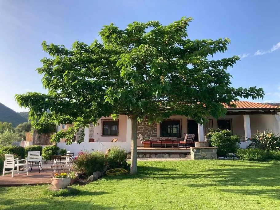 Countryside Villa In Sardinia Triei Italy