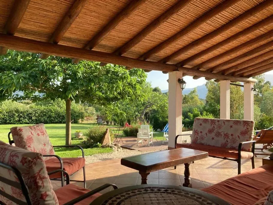 Countryside Villa In Sardinia Triei